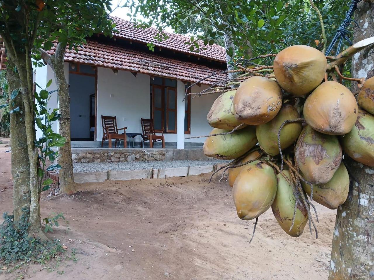 Lagoon Birds - Tangalle Hotel Exterior photo